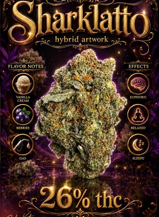 Sharklatto hybrid artwork
