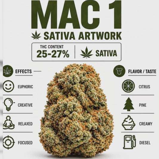 Mac 1 sativa hybrid artwork